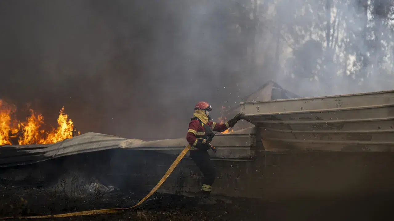 PJ detains suspect for setting four forest fires near homes