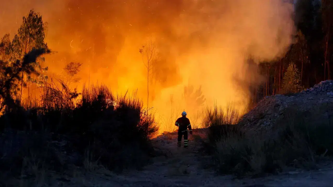 PJ detains two suspects of forest fire using a lighter