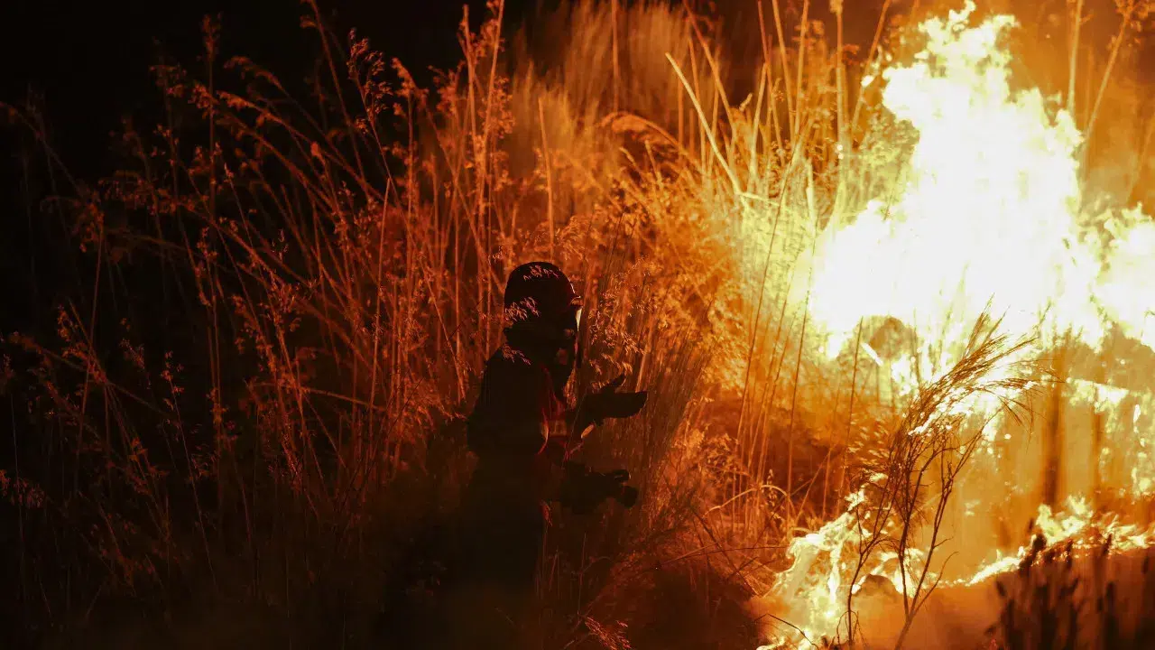 Portalegre and Castelo de Vide fire with 1,300 hectares burned