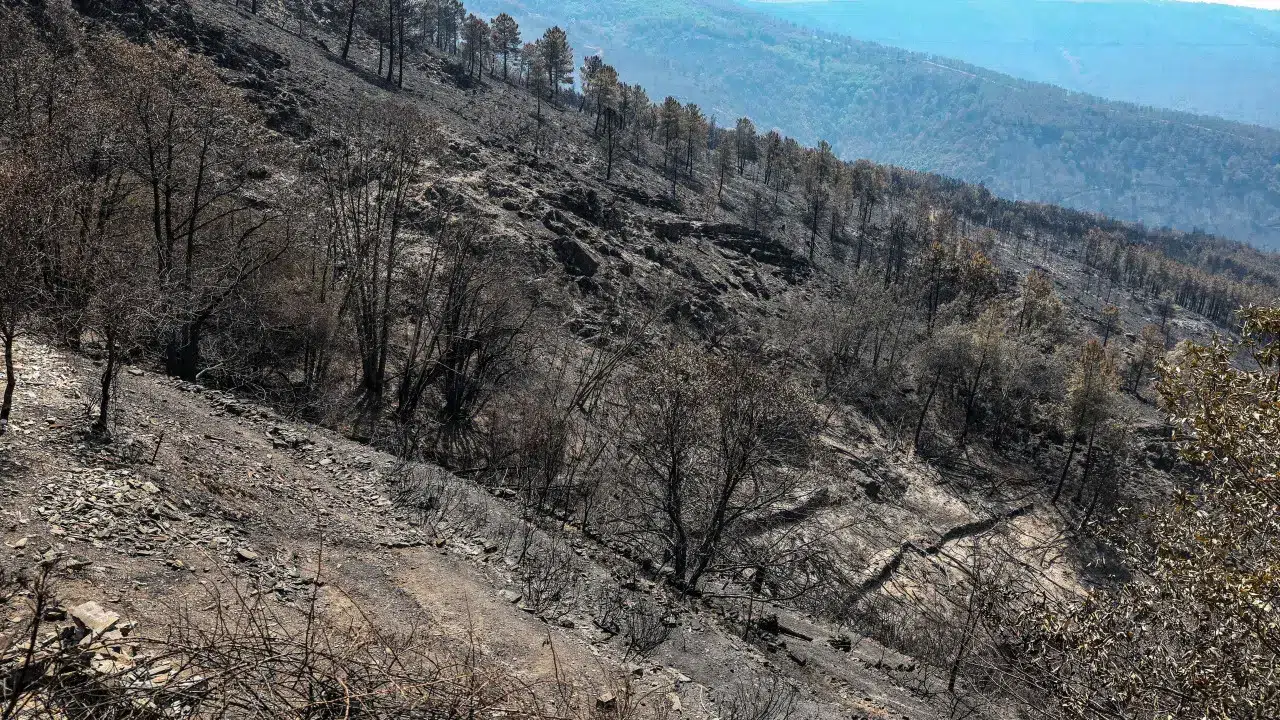 Portugal without significant fires, but there are 40 municipalities in maximum danger