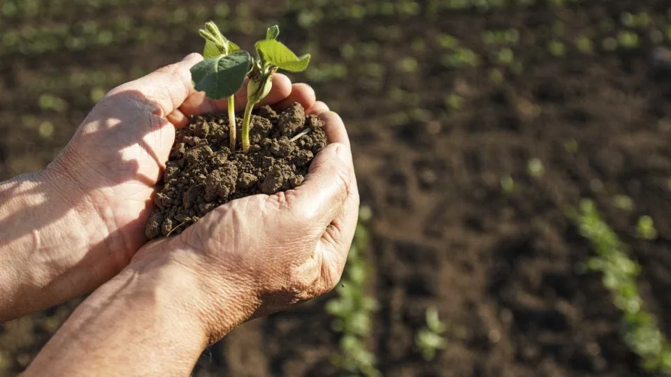 Problems of the country worsened with the "destruction of land reform"