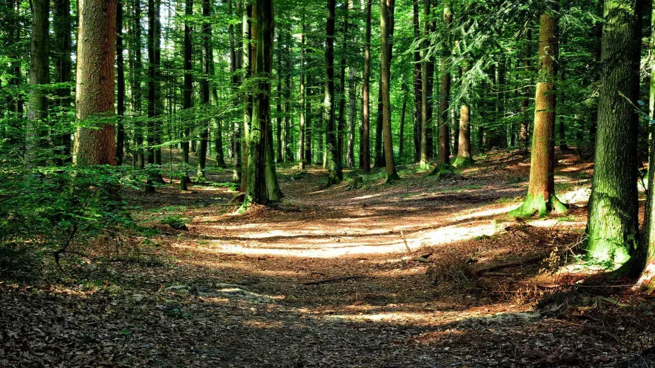 Protected area programs still in the preliminary phase of the plan