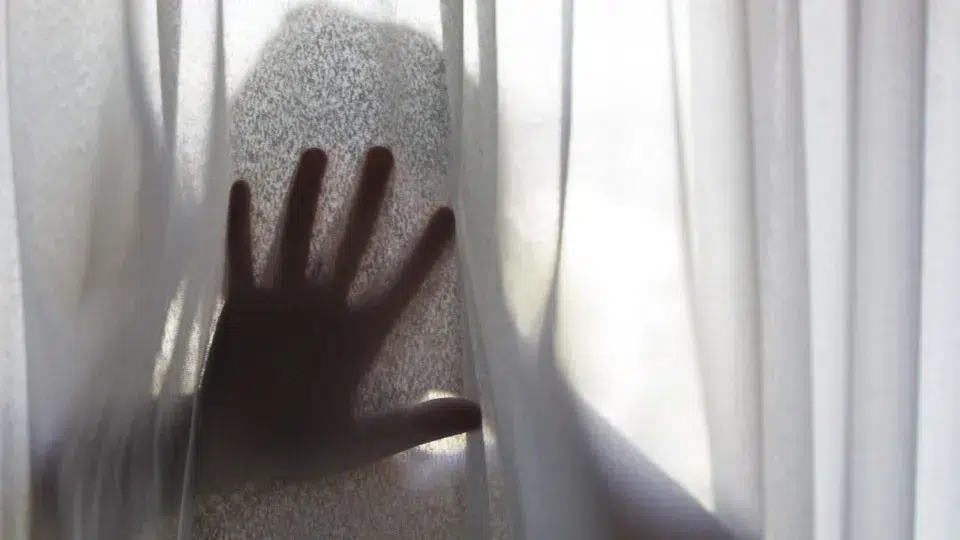PSP detained 306 people for domestic violence in the first half of 2025