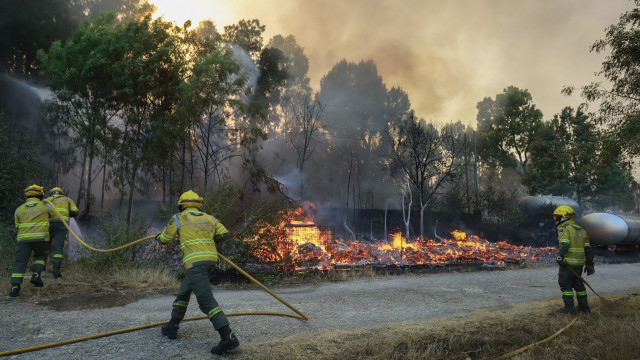 Mayor of Vila Real requests reinforcement of resources: