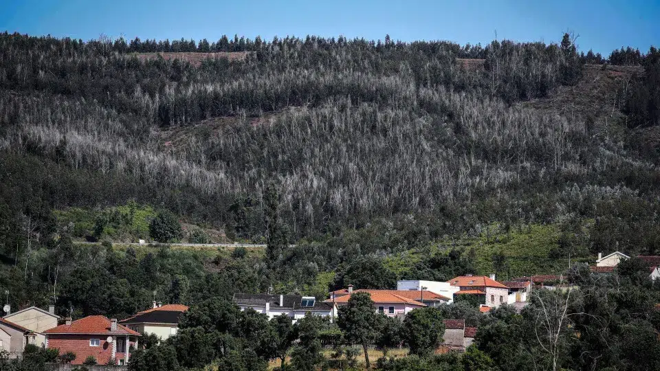 Reconstruction of burned houses in Pedrógão suspended due to lack of payment