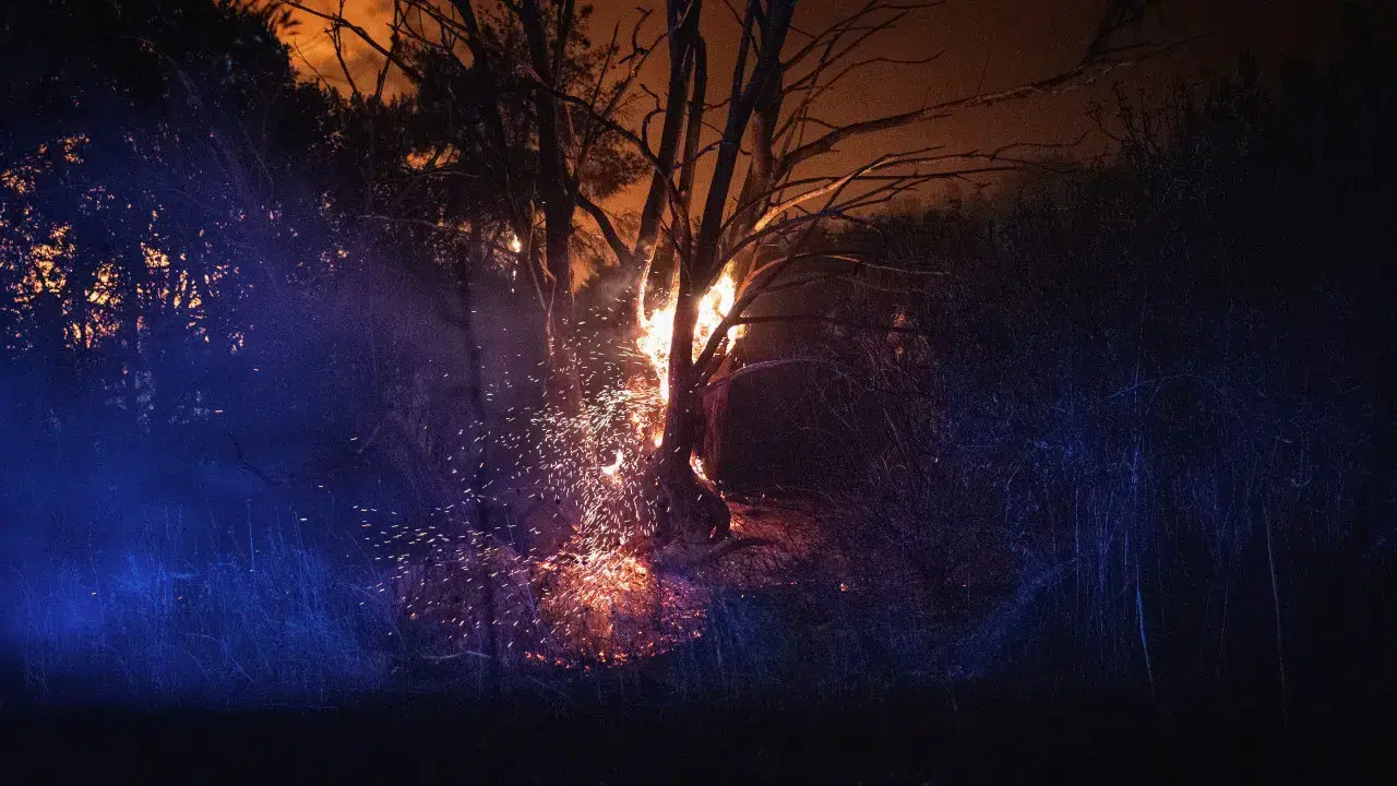 Reignitions and fires in neighboring municipalities worry Oliveira do Hospital