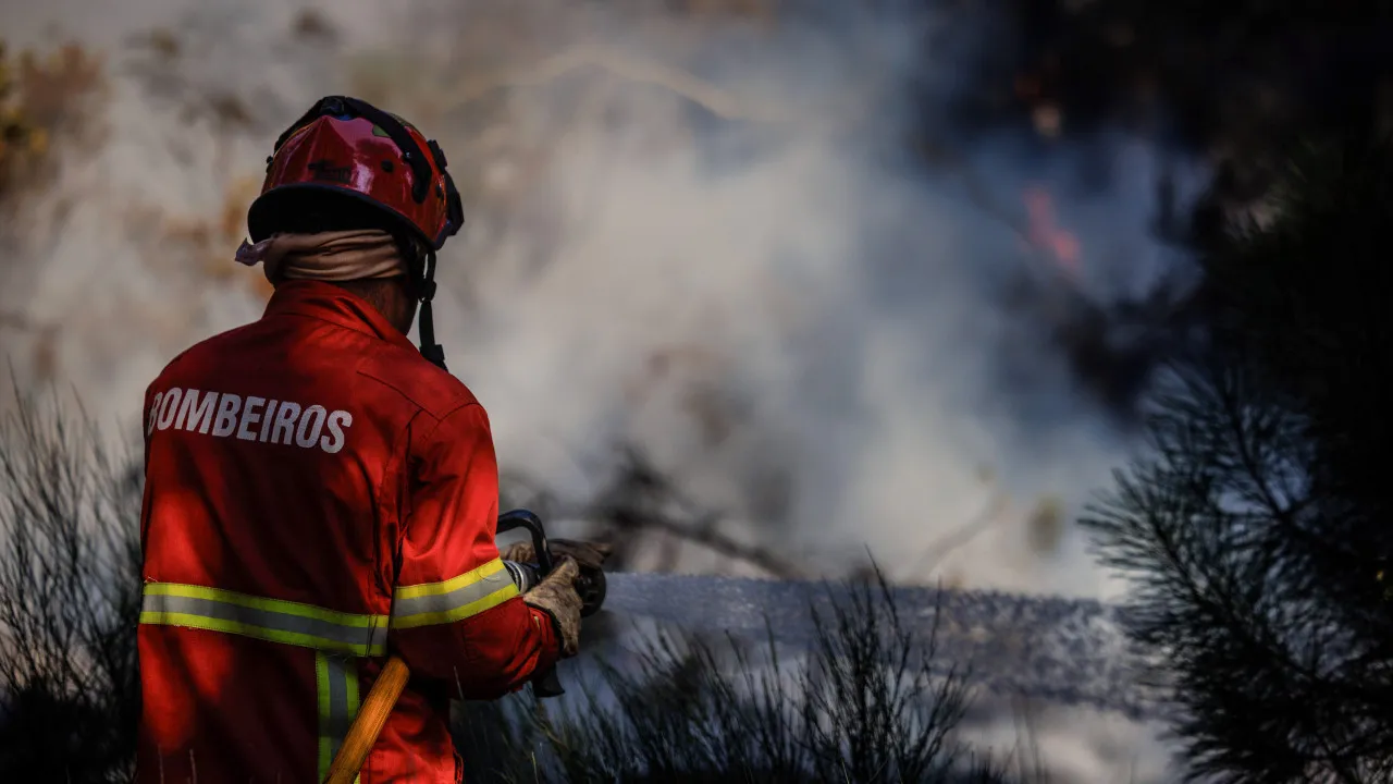 Reinforcement of resources in Vila Real. Mondim de Basto front is "more extensive"