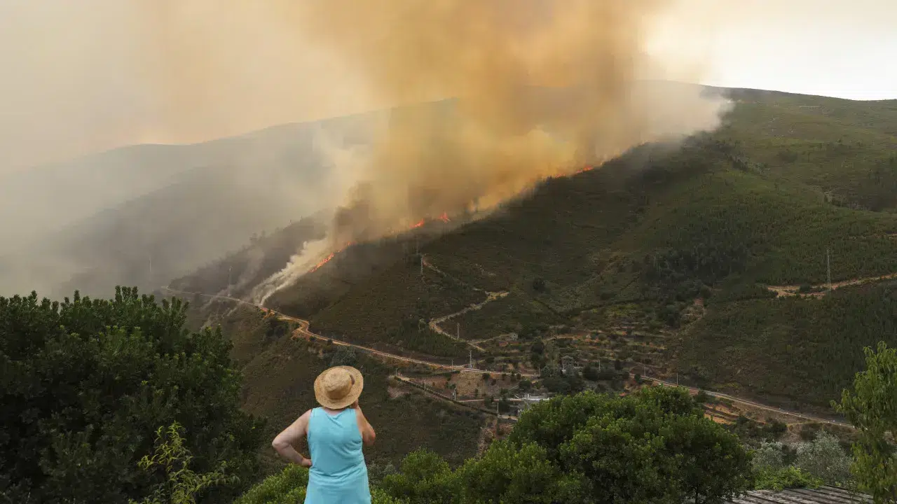 Seia already counts six second homes destroyed