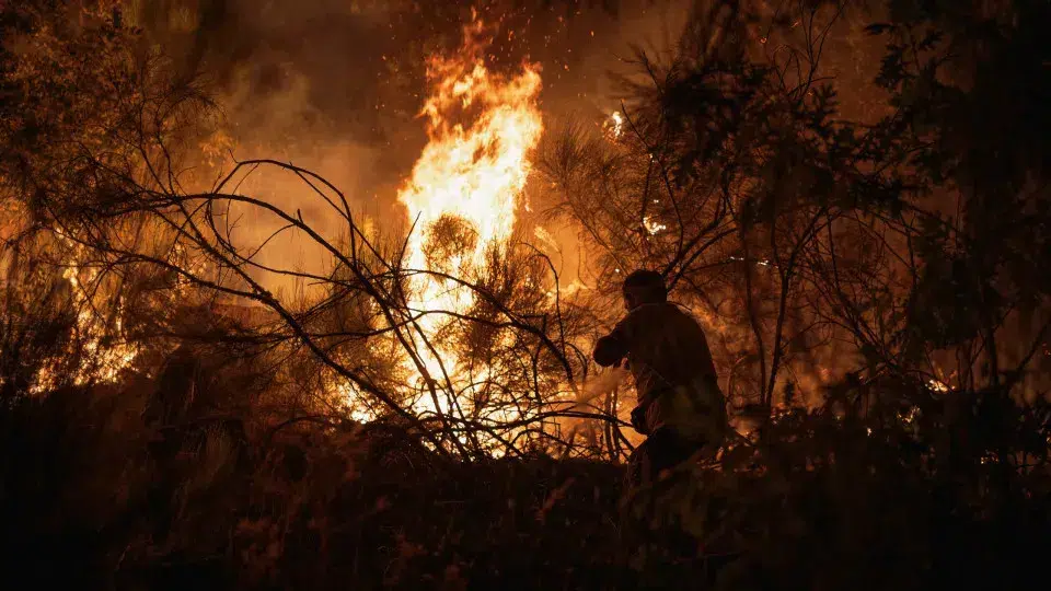 Sernancelhe approves support and incentive to clear burnt area. How much?