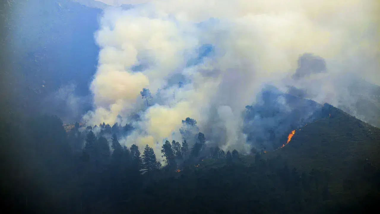 Serra do Alvão hit by new fire in Alvadia in Ribeira de Pena