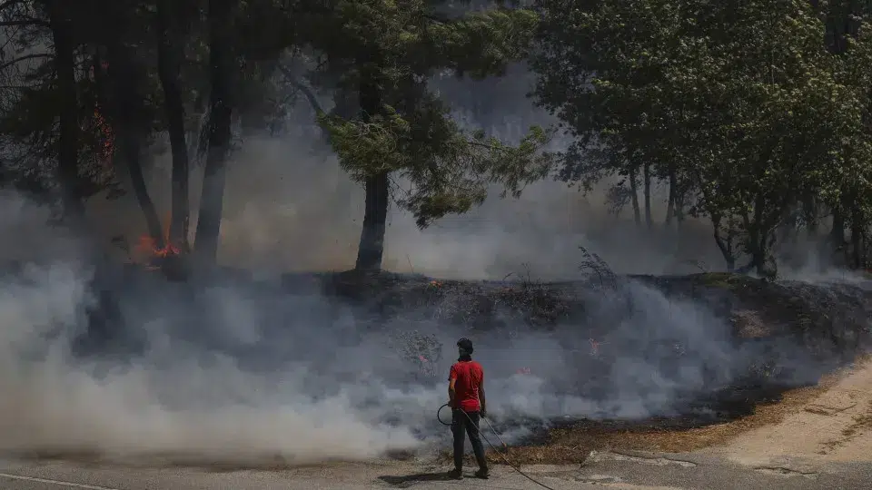 Seven primary residence houses and 39 vacant ones burned in Sernancelhe