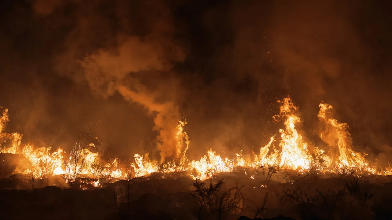 Several fronts in Arganil threaten villages and Mata da Margaraça