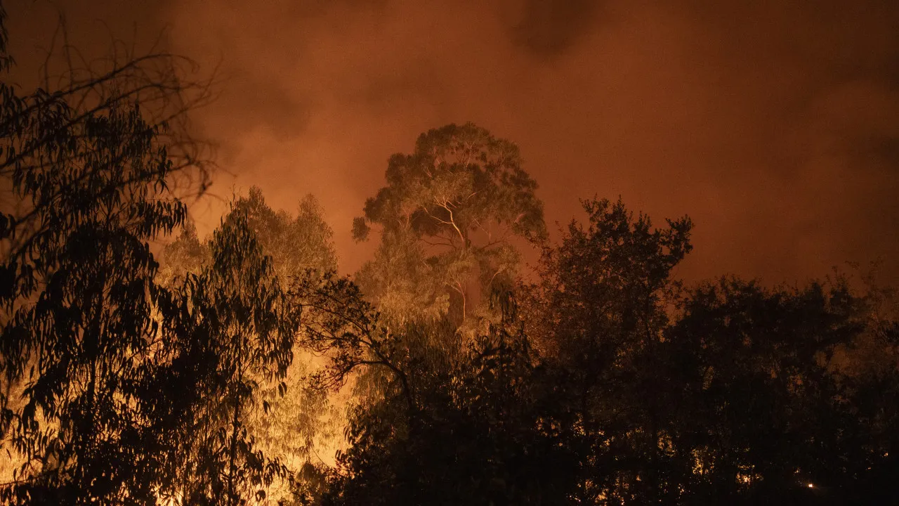 Several roads cut off in Sabrosa due to the fire