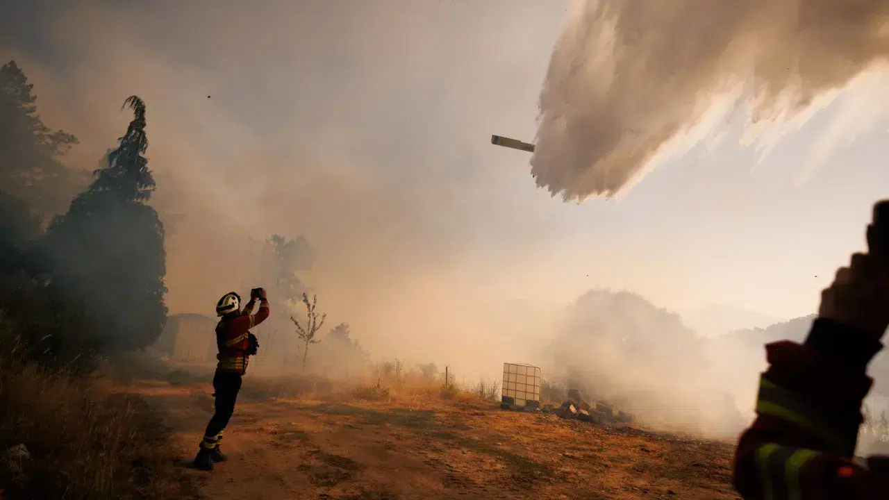 Six aerial resources reinforce firefighting in Vila Real. An active front