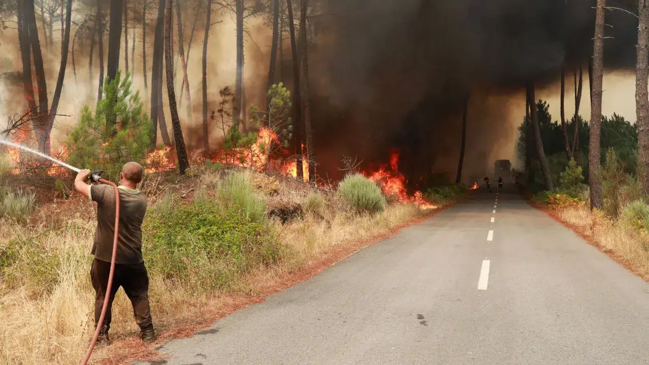 Six national roads are closed due to the fires. Check out
