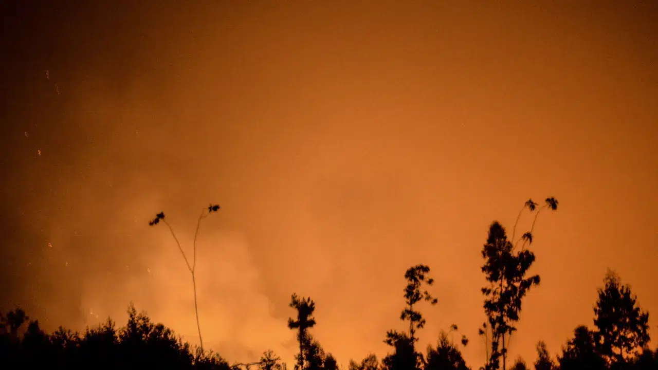 Smoldering flames near evacuated villages in Pedrógão Grande