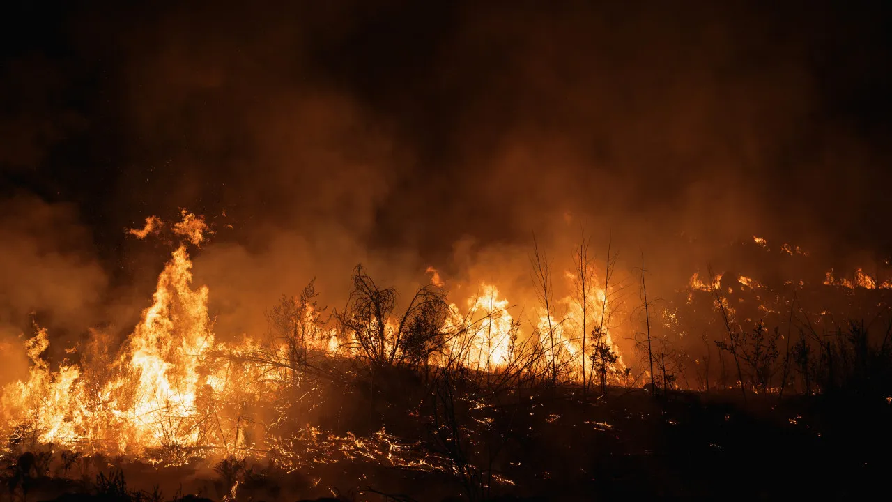 Tarouca with fire under control despite keeping a small front