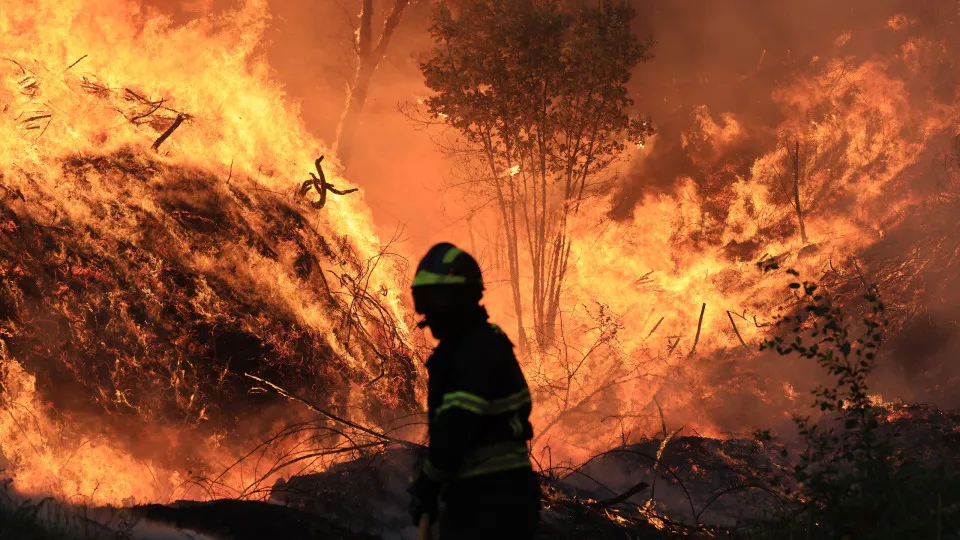 The government estimates the extraordinary expenses of firefighters at 20 million.