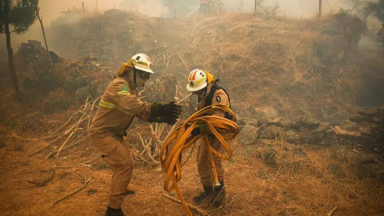 There were 65 fires recorded today. Five are still concerning.