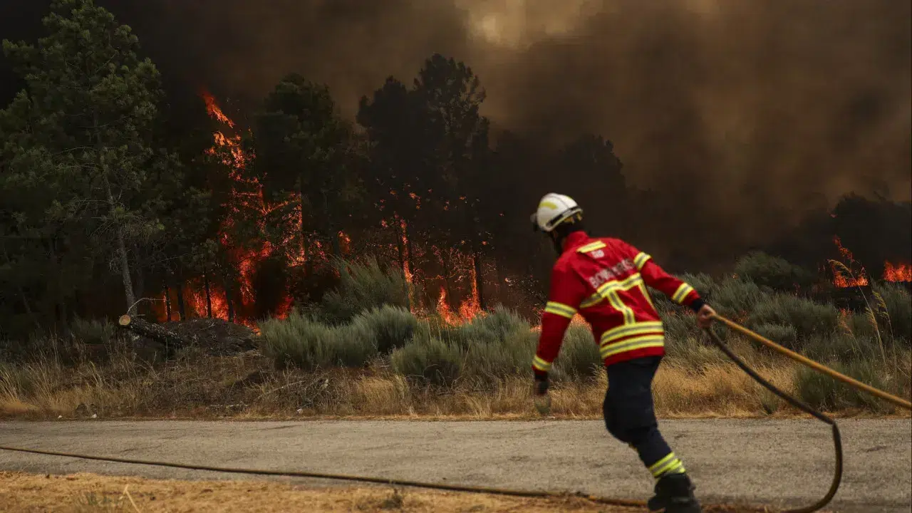 Traffic restored on the EN113, cut off due to the fire