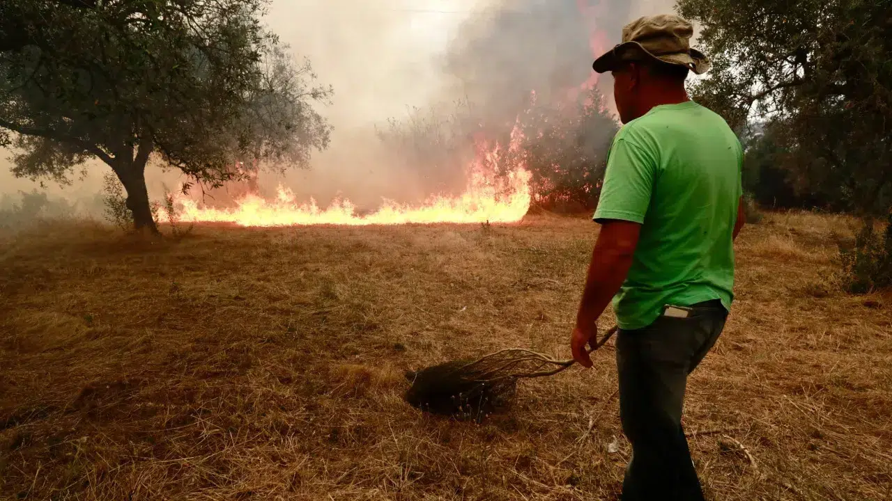 Trancoso fire maintains four active fronts