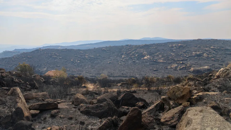 Transmontano mayors want to convert burned area into agricultural land