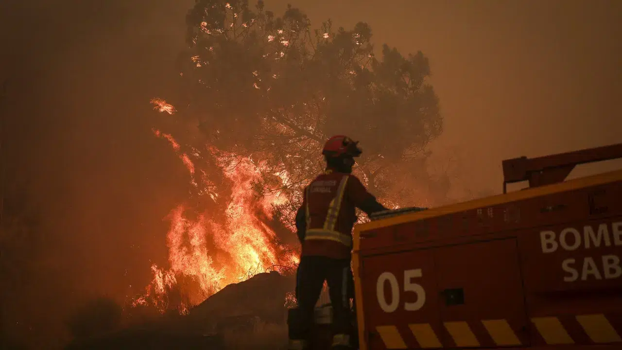 Two fires fought by 00:30 by more than 1,800 operatives