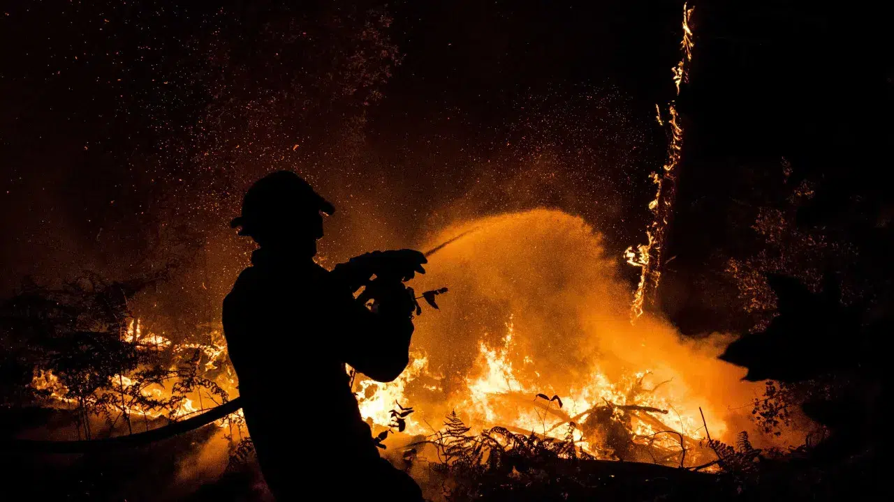 Two fires in Pedrógão Grande lead to the closure of IC8.