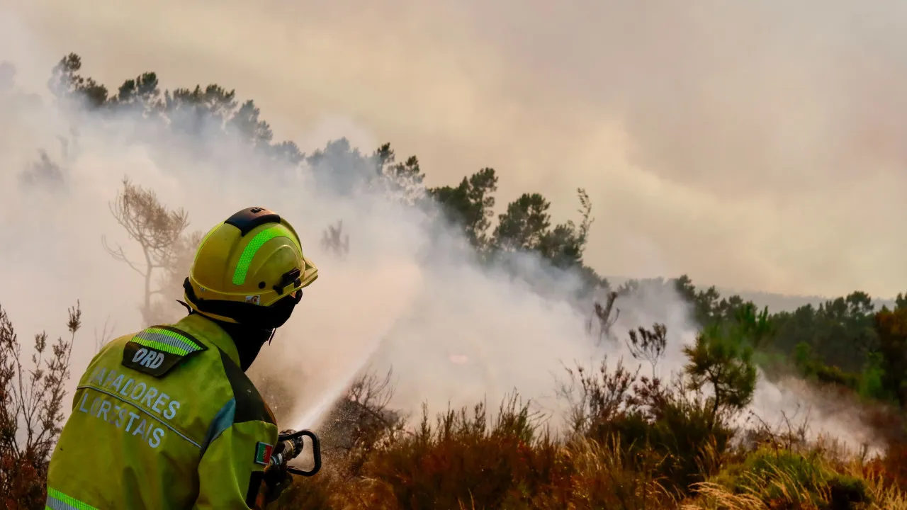 Two fronts burning intensely in the fire that broke out in Sabrosa