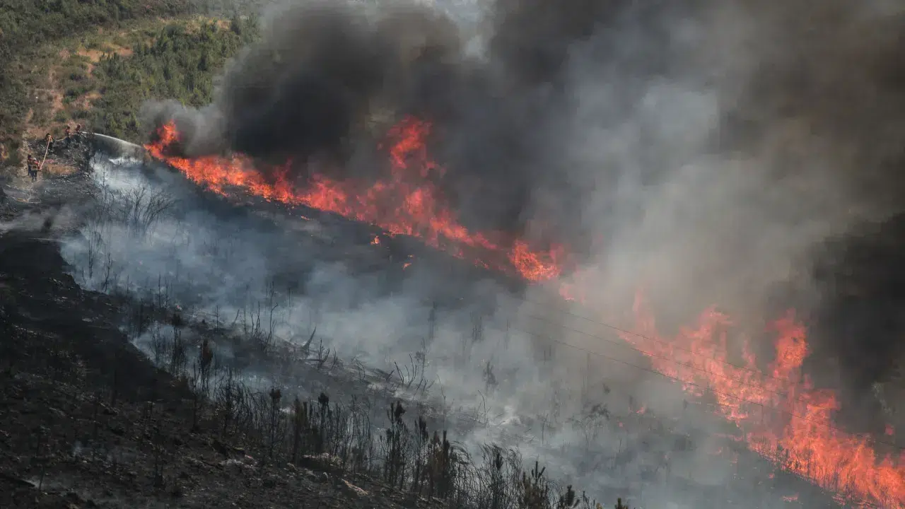 Two fronts of fire in the Serra da Lousã with "complicated" progress
