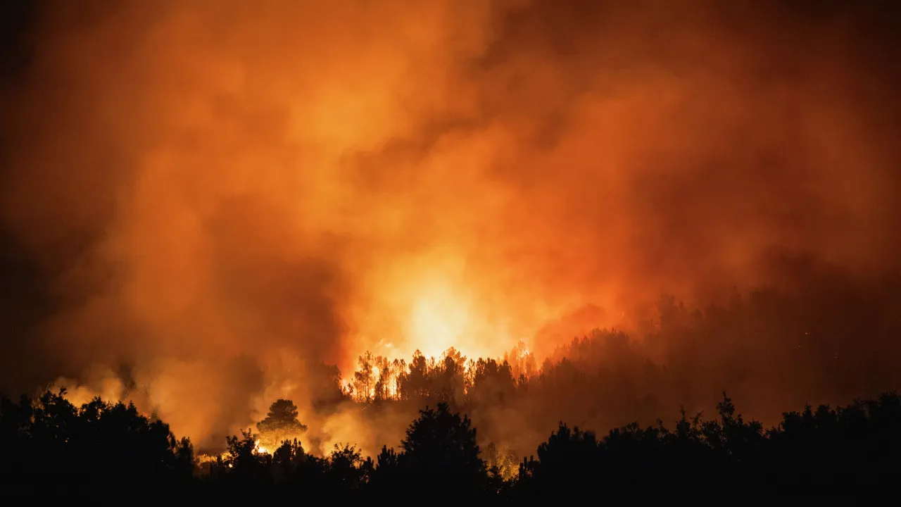 Uncontrolled fire in Meãs in Pampilhosa da Serra: "Worsened greatly"