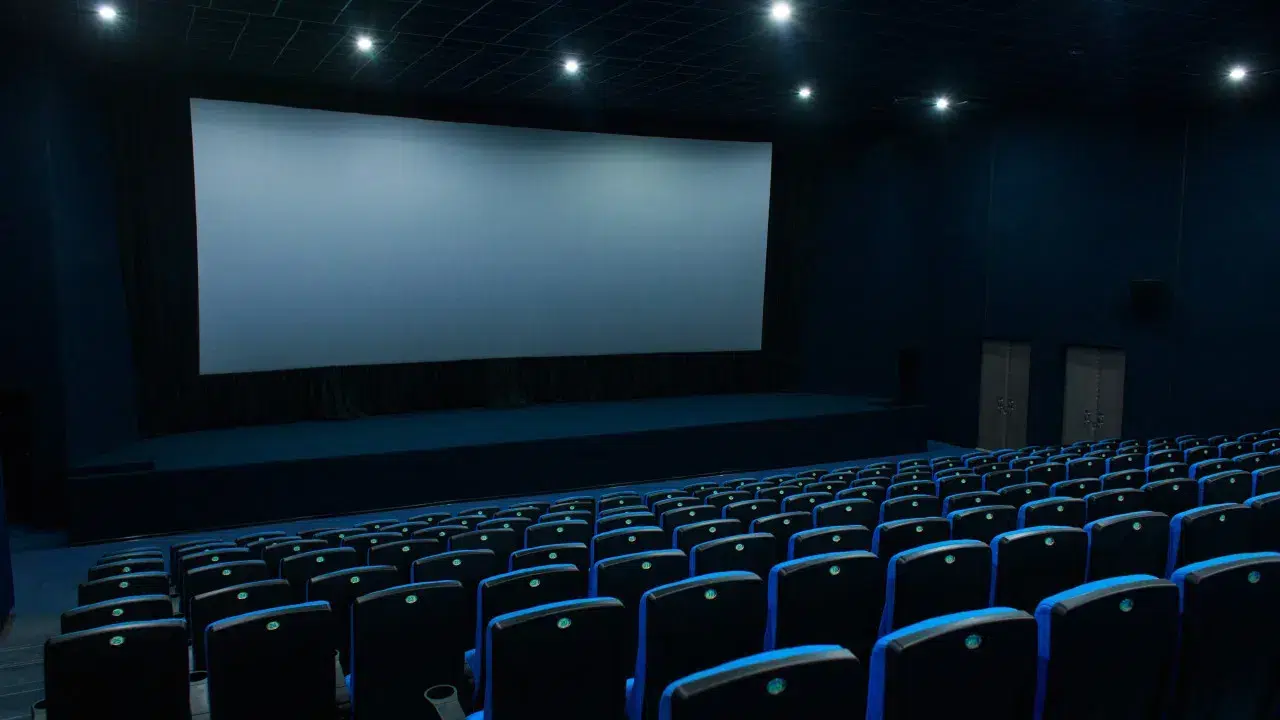 Visual essay on Natália Correia premieres in cinemas in September