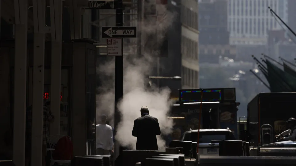Wall Street trades lower at the beginning of the session