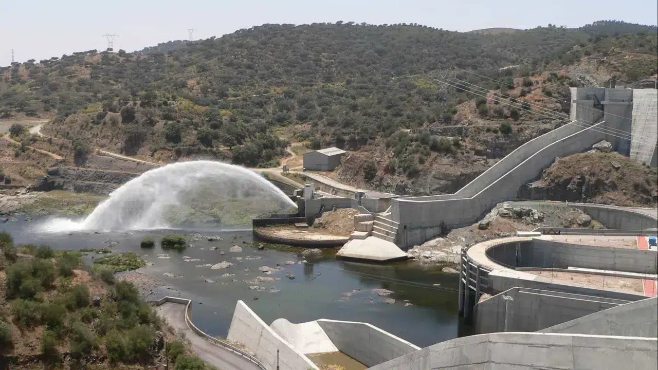 Zero alert for the destruction of endemic plants in Alqueva