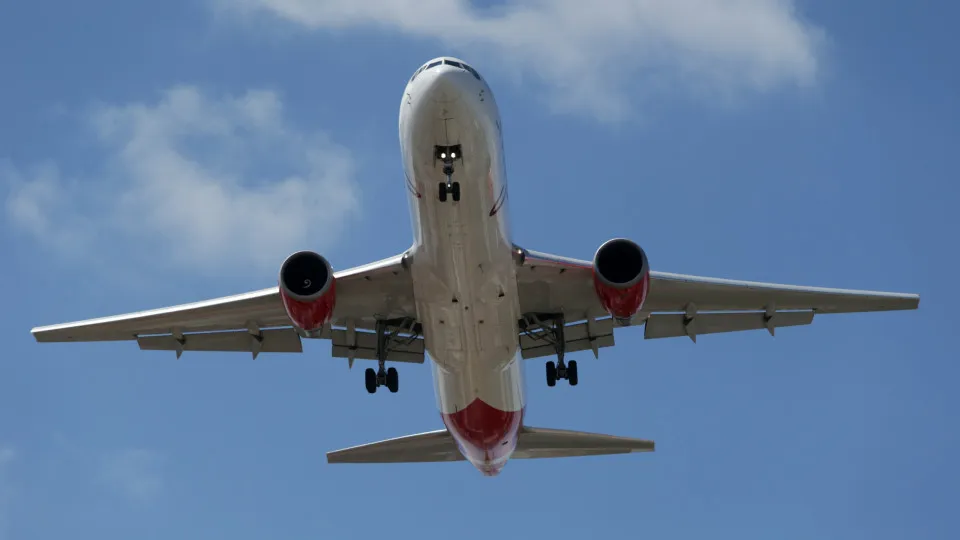 Zero wants all aviation emissions included in climate plans