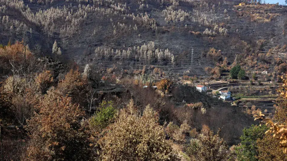About 80 municipalities in nine districts are at maximum risk of rural fire.