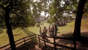 Autumn Festival returns to Serralves with 150 free activities