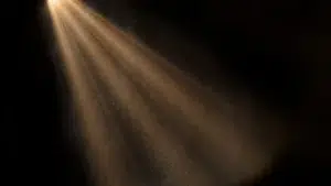 Bolhão Theatre produces a show with immigrants in a decommissioned factory