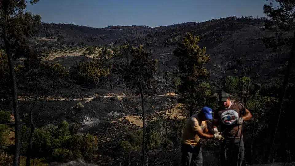 Fire in Murça enters resolution phase