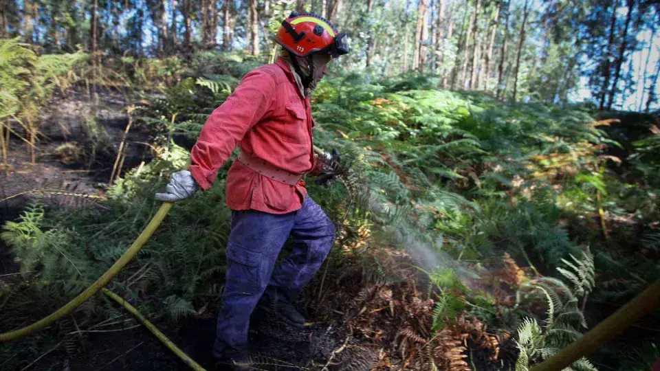 Fires: Fire in Portalegre in resolution phase