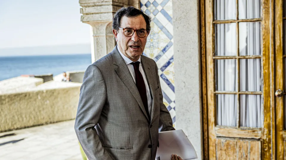 Greater "physical presence" led the Government to dismiss the former president of AICEP