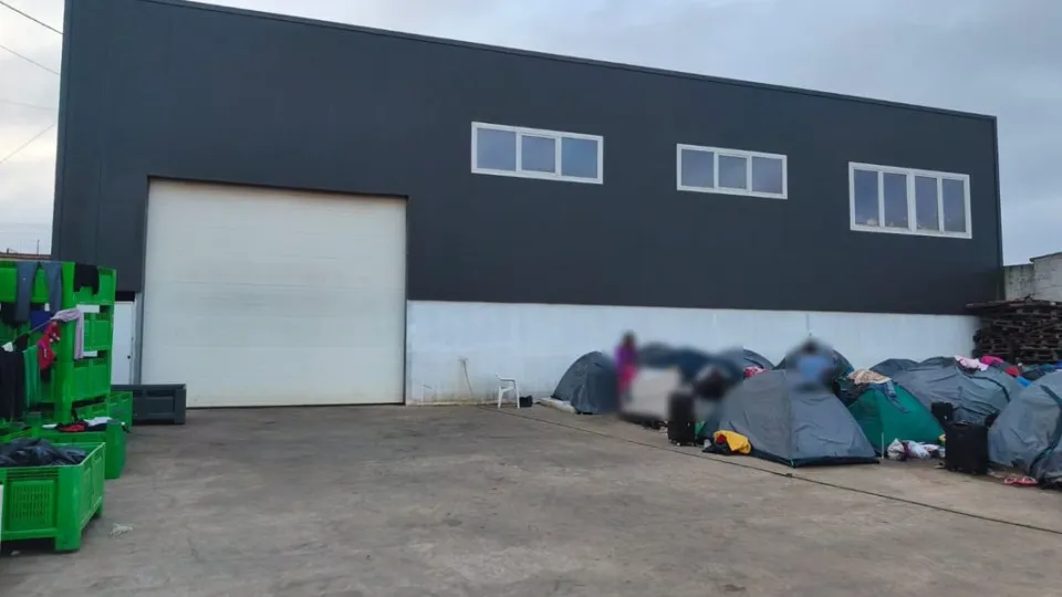 Immigrants found sleeping in tents in Cadaval have returned home