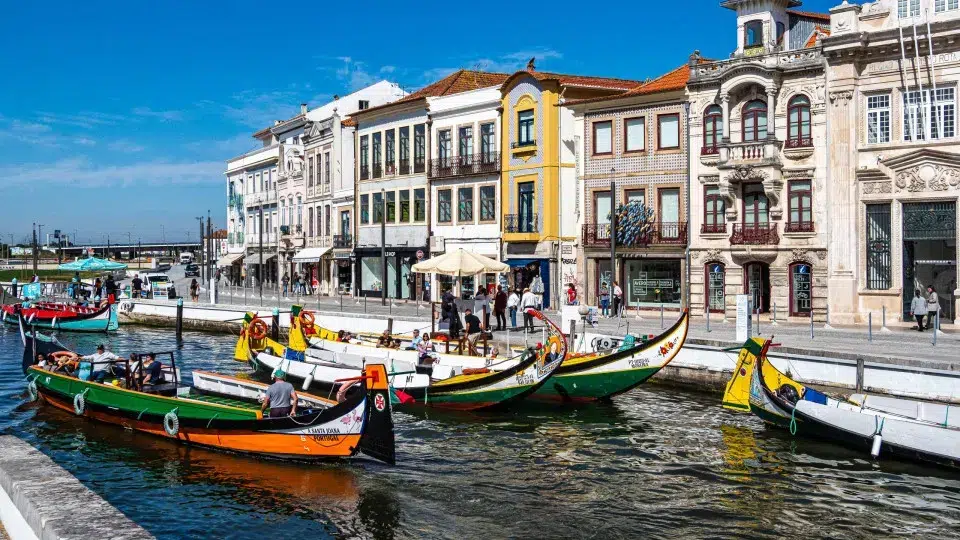 Municipal elections. In Aveiro, there is a duel between two brothers dominating the race.