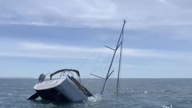 Veleiro surpreendido por orcas afundou