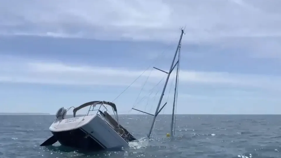 Sailboat surprised by orcas sank "in less than an hour"