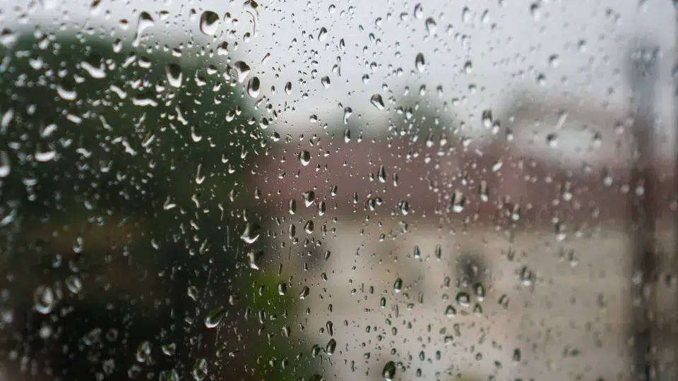 All roads cut off in the city of Porto have been reopened.