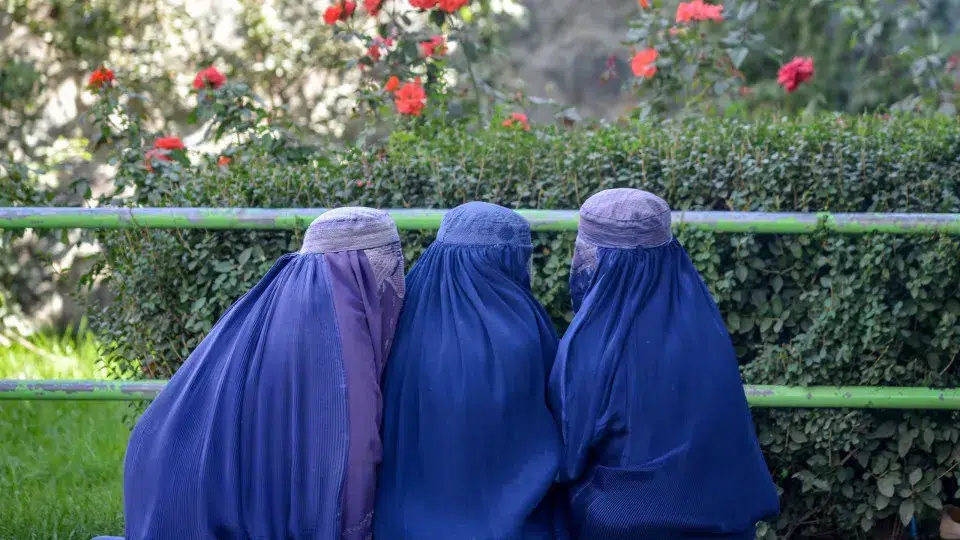 Amnesty criticizes Portugal for prohibiting the use of face-covering veils