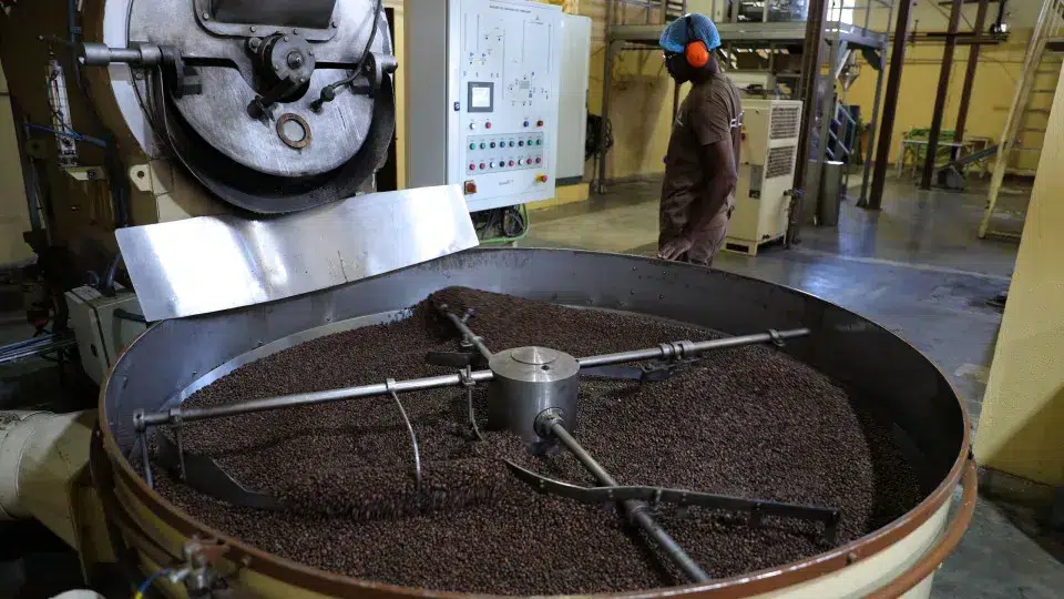 Angola consolidates its weight in the Nabeiro Group with 30% of revenue in 2025.