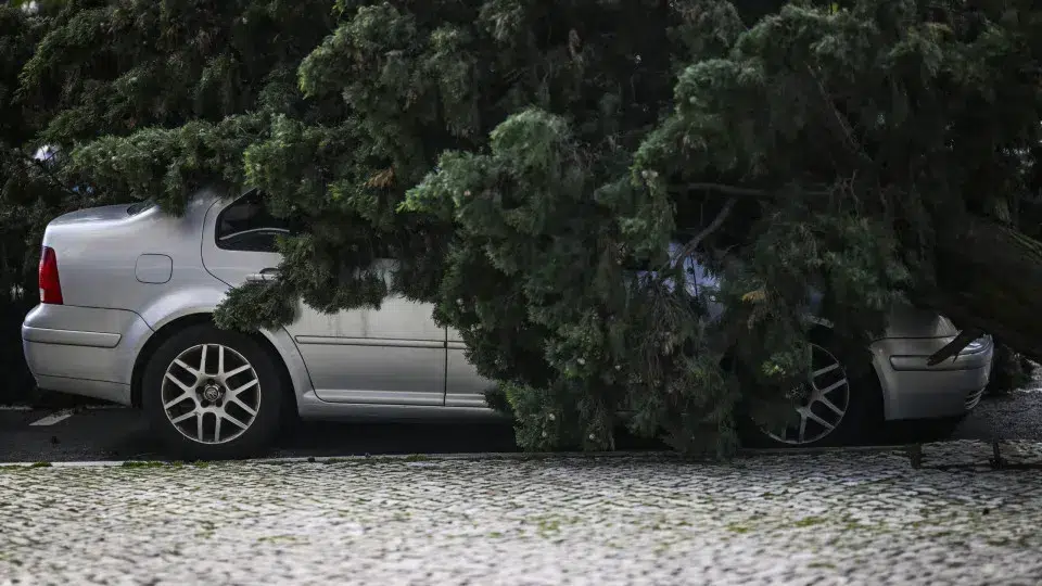 Bad weather 'causes' 50 incidents in the Algarve, but leaves no injuries.