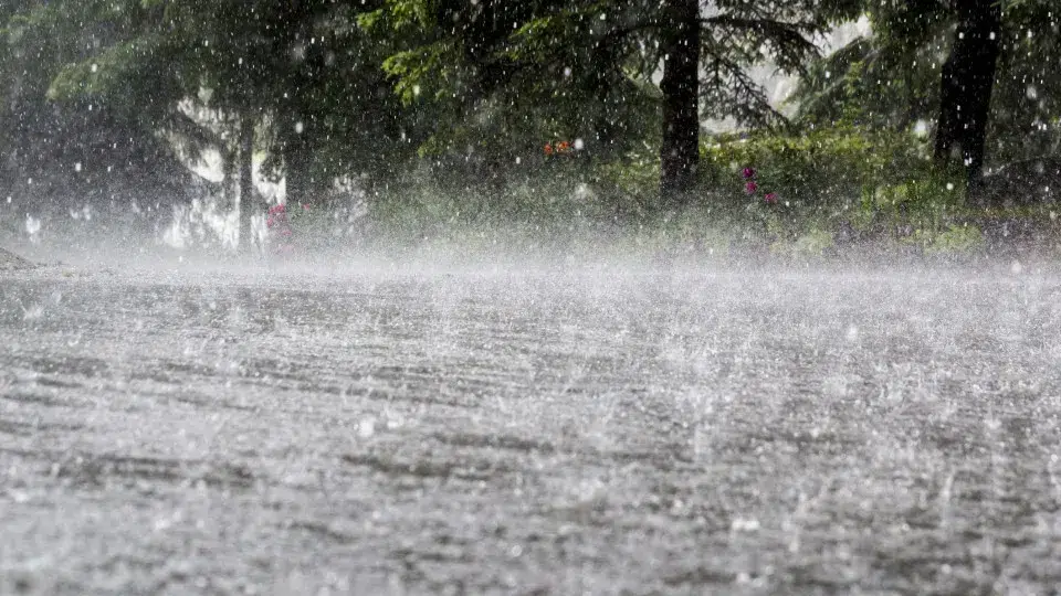 Bad weather. City of Lisbon with 66 incidents, mostly floods.